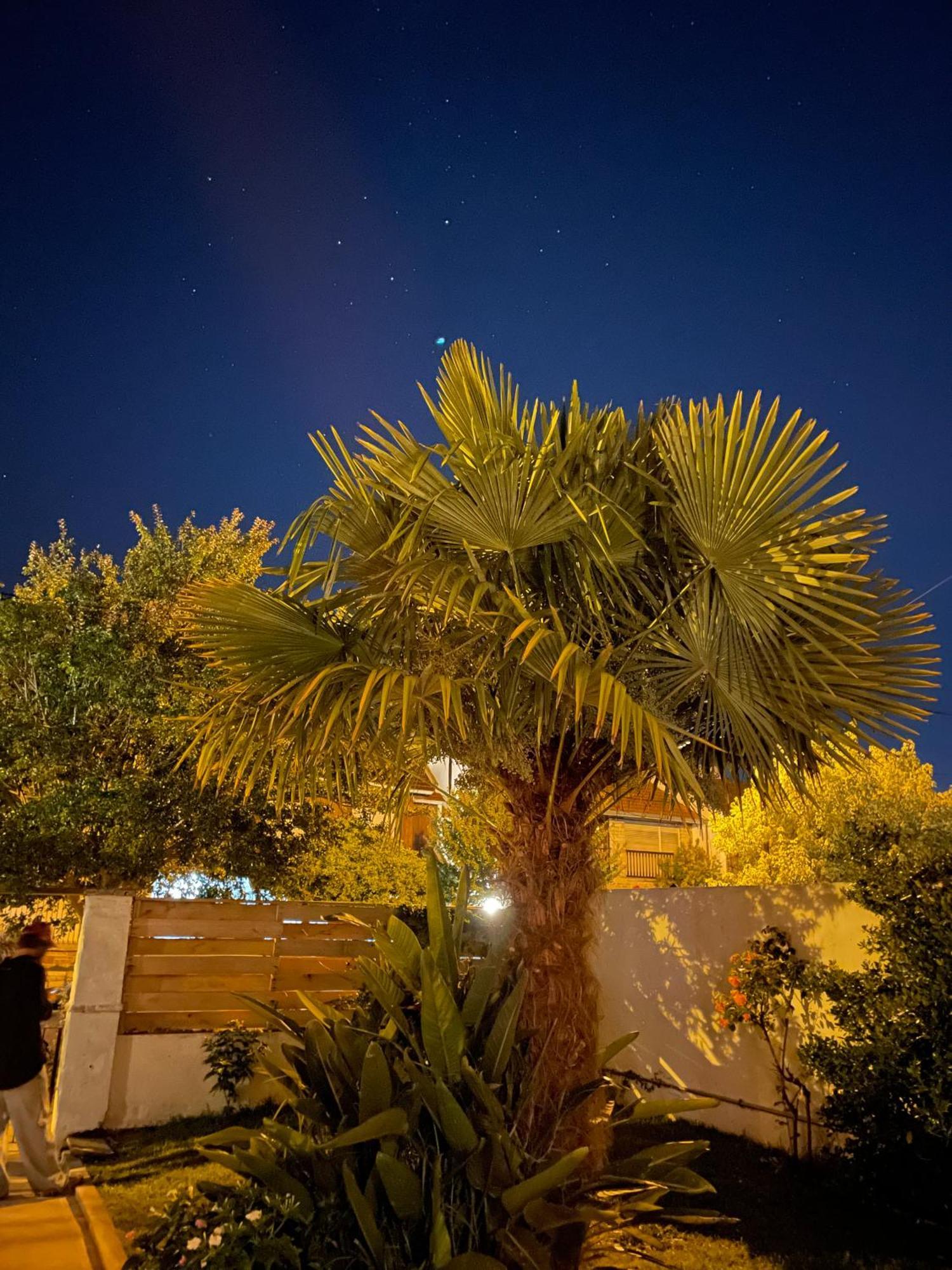מר דל פלאטה Casa Alvear מראה חיצוני תמונה